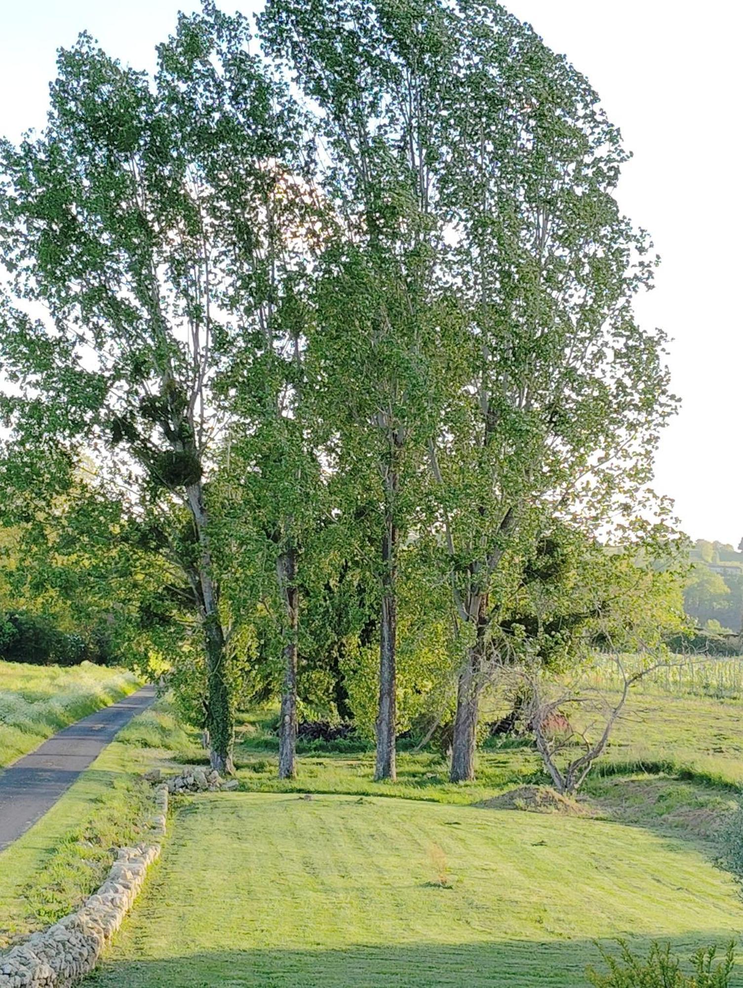 Gite L'Edenwine Doulezon ภายนอก รูปภาพ