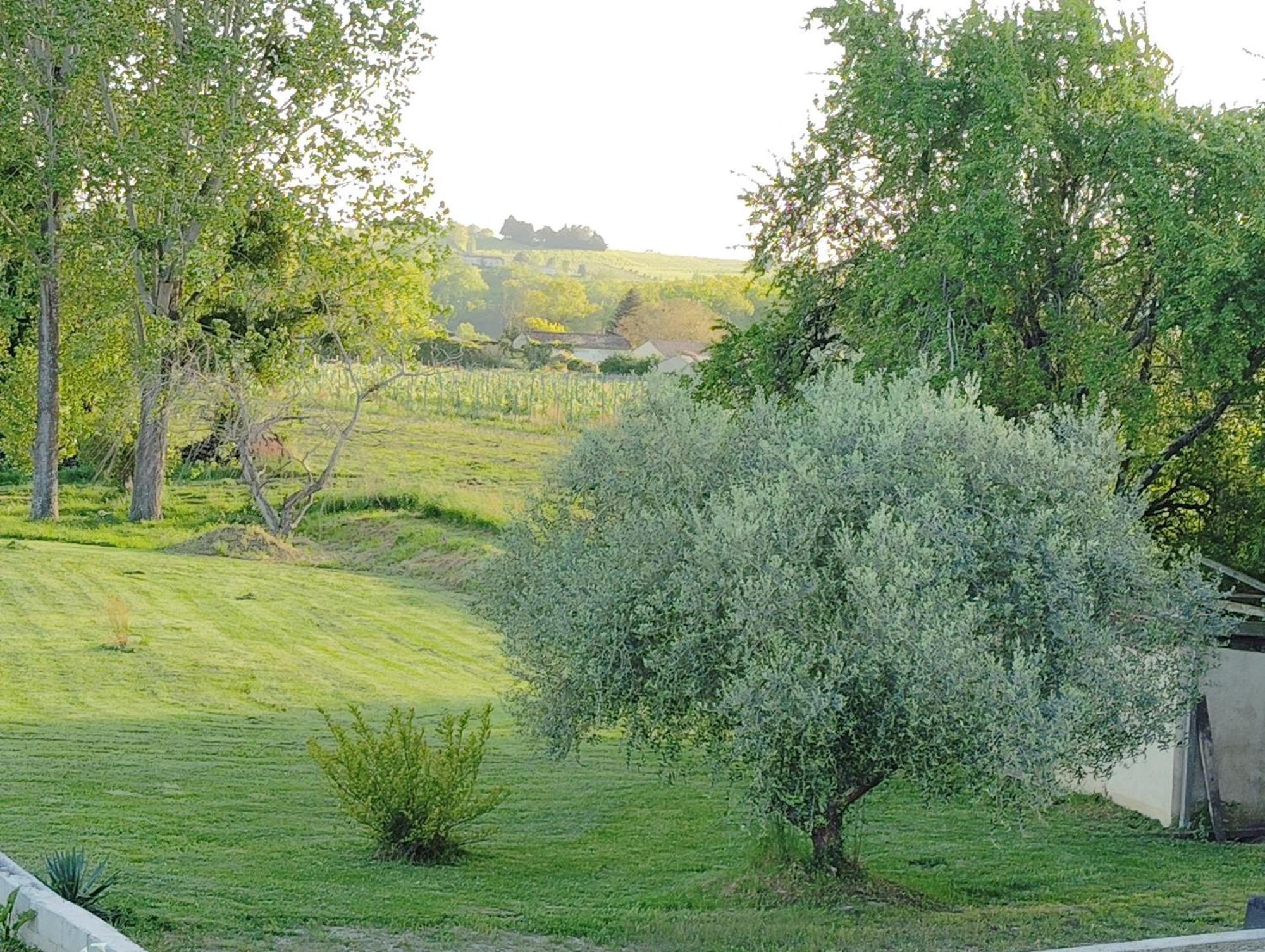Gite L'Edenwine Doulezon ภายนอก รูปภาพ