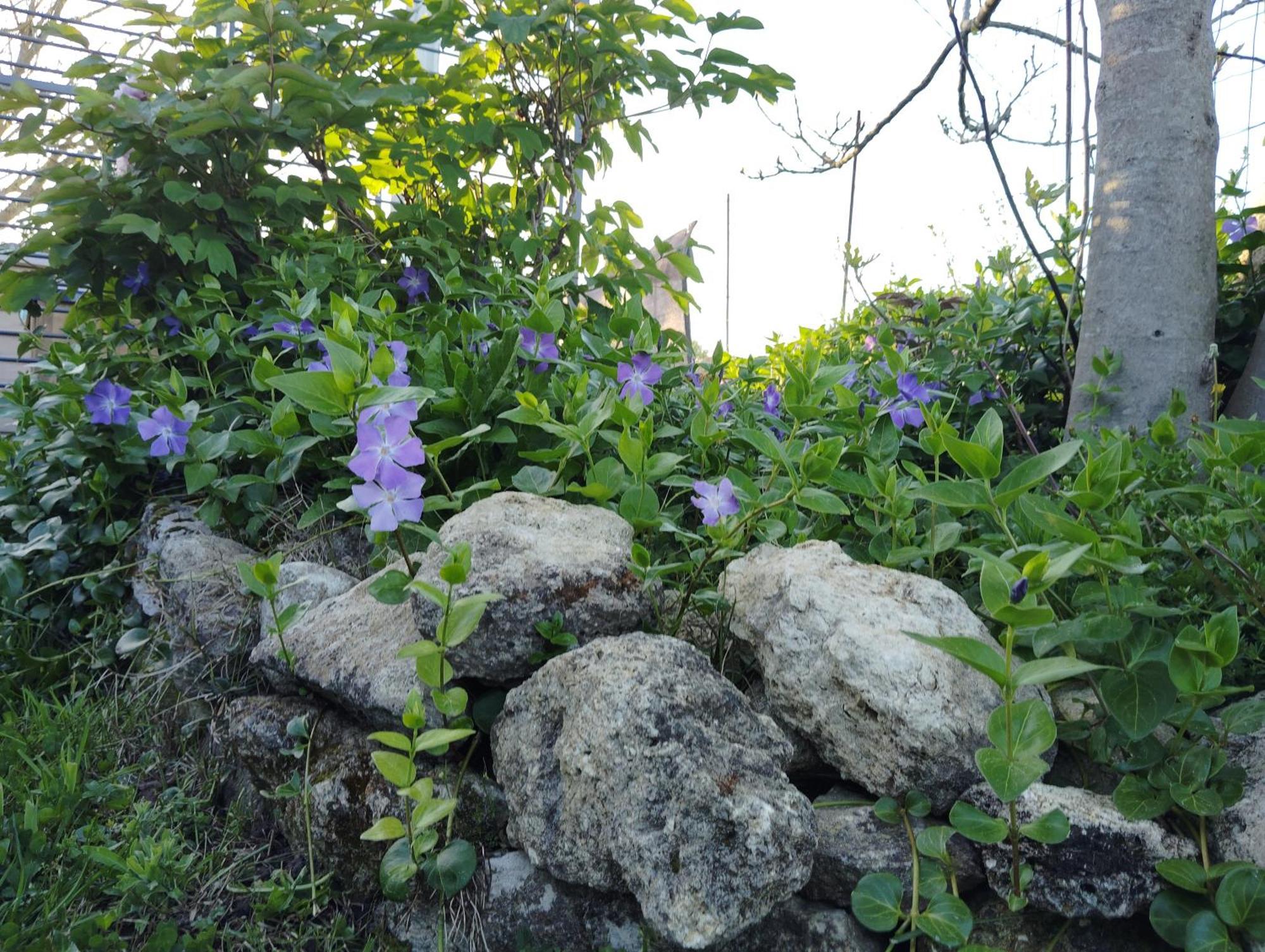 Gite L'Edenwine Doulezon ภายนอก รูปภาพ