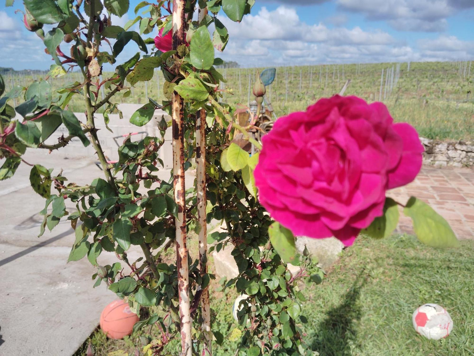 Gite L'Edenwine Doulezon ภายนอก รูปภาพ